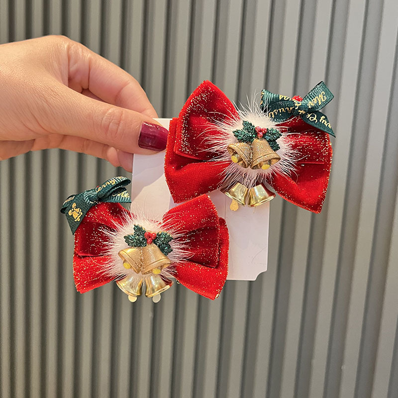 Pair of hair clips 5